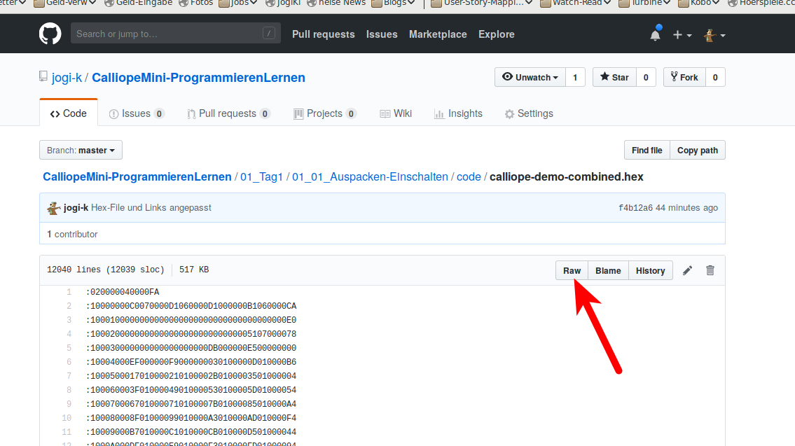 Download HEX-File 1