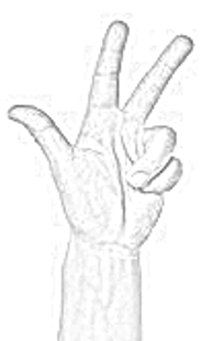 Linke Hand