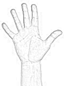 Rechte Hand